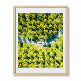 Framed aerial photograph of a lush green palm forest with a winding blue road and a small blue vehicle, presented in a light natural wood frame with a white mat against a white background.