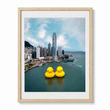 Framed wall art print showing the Hong Kong city waterfront with two large yellow rubber ducks floating on the water in the foreground, presented in a light wood frame with a white mat.
