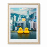 Framed wall art featuring two large yellow rubber ducks floating on water in front Hong Kong city skyline, shown in a light wood frame against a white background.