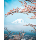 Mount Fuji in Bloom
