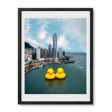 A framed art print featuring two giant yellow rubber ducks floating on the water in front of the Hong Kong city skyline, presented in a black frame with a white mat.