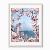 A framed art print featuring a scenic view of Mount Fuji framed by pink cherry blossoms over a body of water, presented in a light-colored wooden frame against a white background.