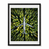 A framed art print featuring an aerial photograph of a gray airplane sitting in a dense green forest, presented in a black frame.