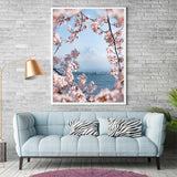 Cherry Blossoms at Mount Fuji