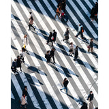 Shibuya Crossing - Shadow Play