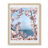 Framed wall art featuring a scenic photograph of Mount Fuji framed by pink cherry blossoms over water, displayed in a light wood frame with a white mat against a white background.