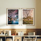 One Fine Night Under the Sakura