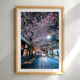 One Fine Night Under the Sakura