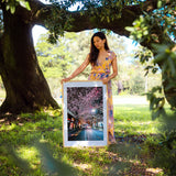 One Fine Night Under the Sakura