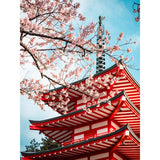 Blossoms Over Chureito Pagoda