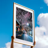 One Fine Night Under the Sakura