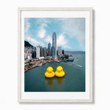 Framed wall art featuring Hong Kong city harbor scene with two large yellow rubber ducks floating on the water in the foreground. The artwork is presented in a white frame against a light gray wall.