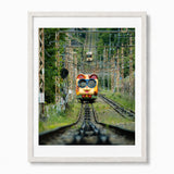 A framed photographic print of a Ikoma Cable Car in Japan on railway tracks surrounded by green trees, presented in a white oak frame.
