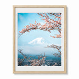 A framed art print featuring a scenic view of Mount Fuji framed by pink cherry blossom branches under a blue sky, presented in a light wood frame with a white mat.