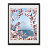 Framed wall art featuring a scenic photograph of Mount Fuji framed by pink cherry blossoms over water, presented in a black frame with a white mat on a light gray background.