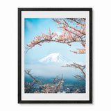 A framed art print featuring a scenic view of Mount Fuji framed by blooming pink cherry blossom branches under a light blue sky, presented in a black frame with a white mat on a white background.