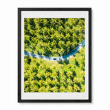 A framed aerial photograph of a lush green palm tree plantation with a winding blue road and a small vehicle, presented in a black frame with a white mat against a white background.