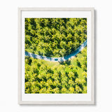 A framed aerial photograph of a lush green palm tree plantation with a winding blue road and a small blue vehicle, presented in a light-colored wooden frame against a white background.