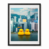 A framed photographic art print of two giant yellow rubber ducks floating in front of the Hong Kong skyline, presented in a black frame with a white mat on a white background.