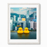 A framed art print featuring two giant yellow rubber ducks floating on the water in front of the Hong Kong skyline, set in a light-colored wooden frame against a white wall.