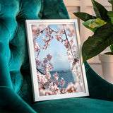 Cherry Blossoms at Mount Fuji