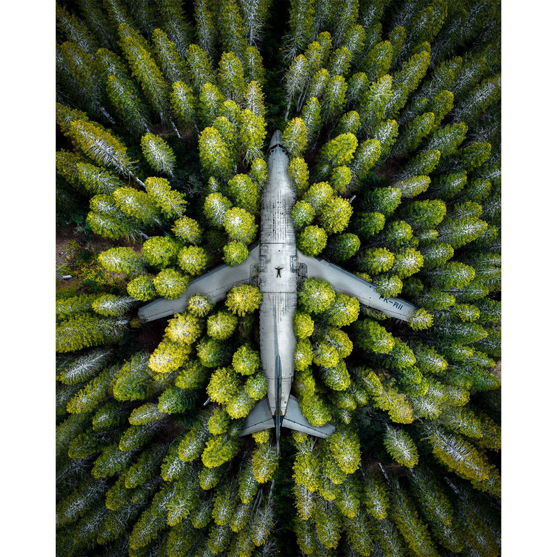 Plane in a Forest
