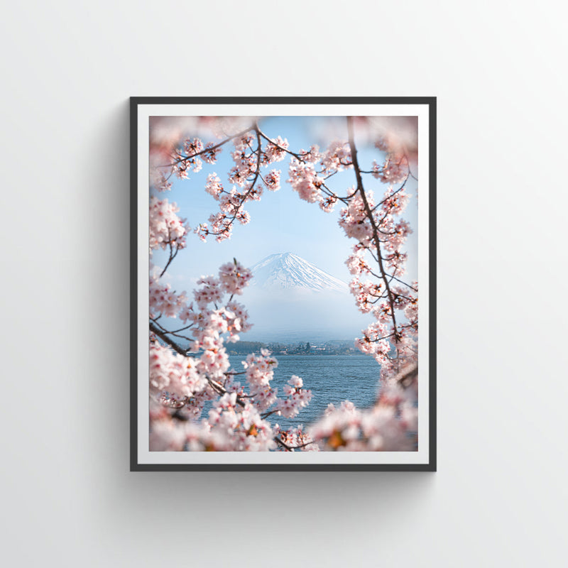 Cherry Blossoms at Mount Fuji