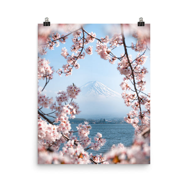 Cherry Blossoms at Mount Fuji
